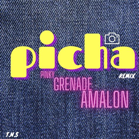 Picha (Remix) - YouTube Music