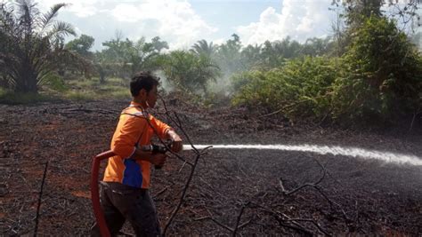 BPBD Kobar Bersama Personil Gabungan Tangani Karhutla Di Kelurahan Baru