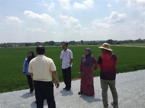 PERTUBUHAN PELADANG KAWASAN MELAKA TENGAH PROJEK PADI LUAR JELAPANG