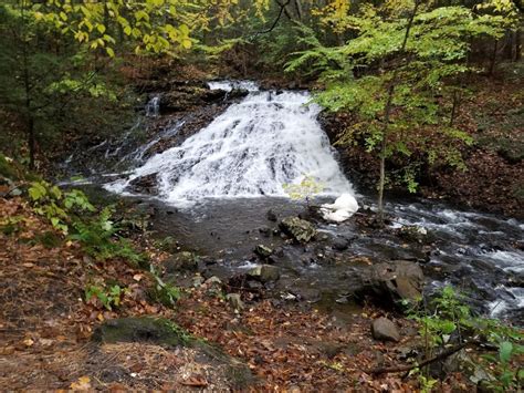 Bear Hole Reservoir Road Mountain Bike Trail Westfield Massachusetts