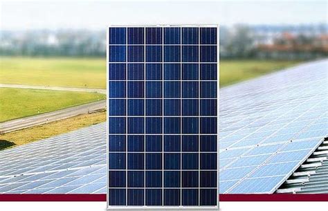 Hanwha Q Cells Announces The Launch Of Two New Polycrystalline Q Antum