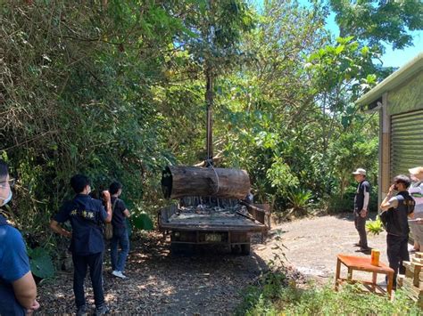 自家土地囤大批漂流木 警登門查山老鼠竟持偽造證明矇混遭識破