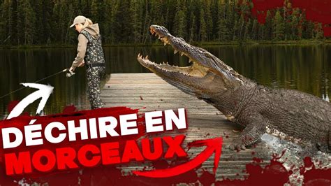 L Attaque D Alligator La Plus BRUTALE De L Histoire YouTube