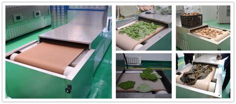 Microwave Vegetable Drying Machinevegetable Dehydrator Manufacturer