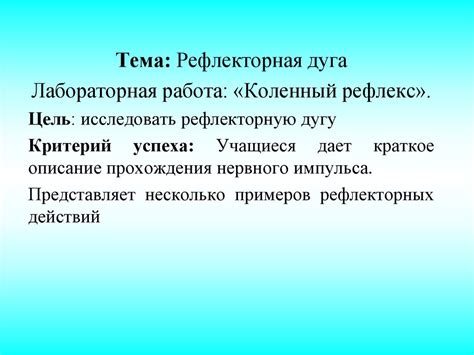 Рефлекторная дуга. Коленный рефлекс - презентация онлайн