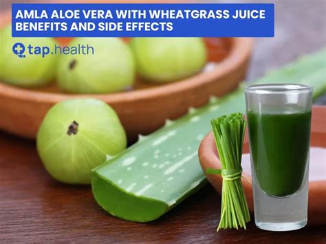 Amla Aloe Vera With Wheatgrass Juice Benefits And Side Effects Tap Health