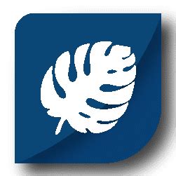 Language Name Generator - Names Generator