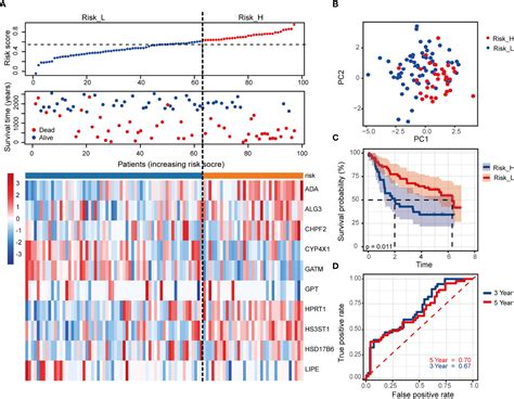 Frontiers A Novel Prognostic Signature Based On Metabolism Related