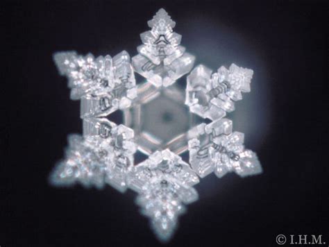 Power Of Our Thoughts Captured By Photographs In Masuro Emoto S Message From Water Masaru