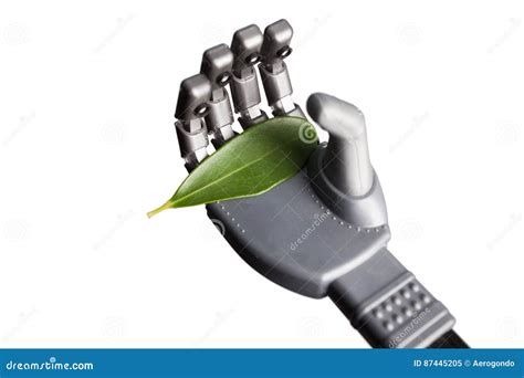 Green Leaf In Robotic Hand Isolated On White Stock Image Image Of