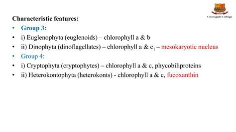 Classification Of Algae Ppt