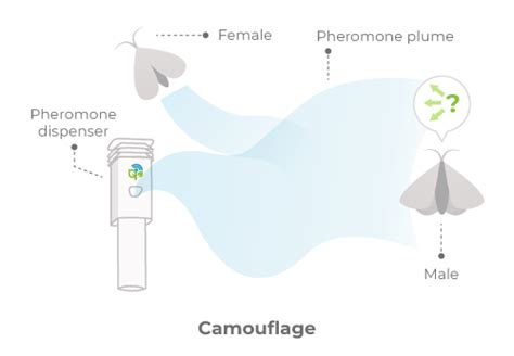 Understanding Pheromones And Mating Disruption