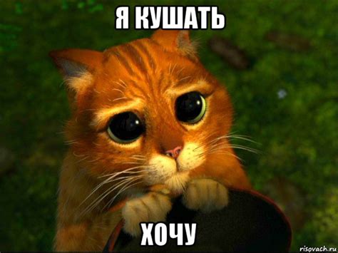я кушать хочу, Мем кот из шрека - Рисовач .Ру