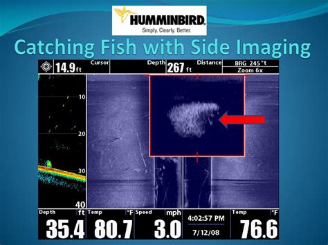 catching fish  side imaging powerpoint