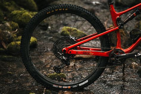 Rocky Mountain Element Review Blister