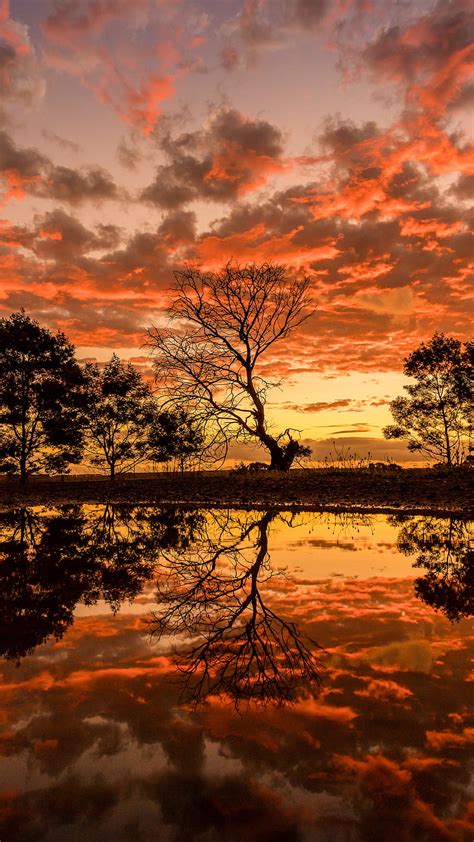 K Descarga Gratis Atardecer Lb Jalisco Luz Puesta De Sol Fondo De