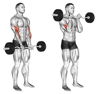 Narrow Grip Standing EZ Bar Curls BETTER BODY ACADEMY