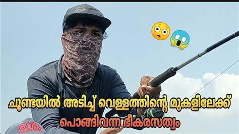 ചൂണ്ടയിൽ അടിച്ച് വെള്ളത്തിന്റെ മുകളിലേക്ക് പൊങ്ങിവന്ന ഭീകരസത്വം😳😱