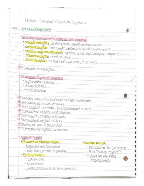 BIOL 112 Skeletal Muscular System Lecture BIOL 112 Studocu