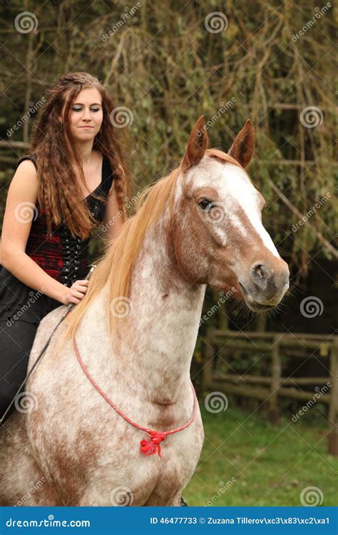 Jolie Fille Montant Un Cheval Sans Tout Quipement Image Stock Image