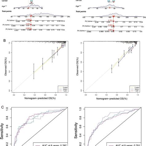 A Nomogram Was Generated To Estimate The Survival Rate Of Coad