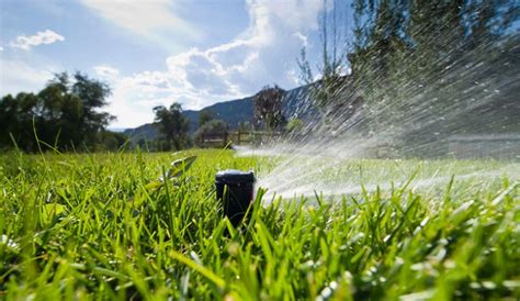 MANTENIMIENTO DE CÉSPED NATURAL trucos y consejos