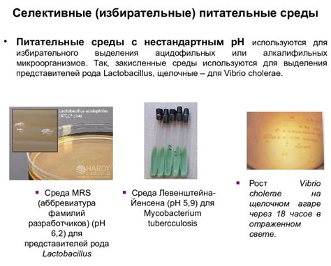 Тема: Классификация питательных сред для культивирования бактерий и ...
