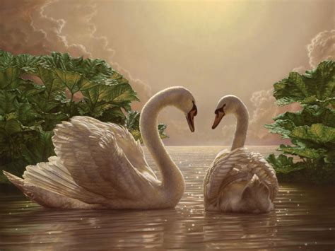 картина Swan painting Swan pictures Swan wallpaper