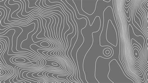 Grey Contours Vector Topography Geographic Mountain Topography Vector