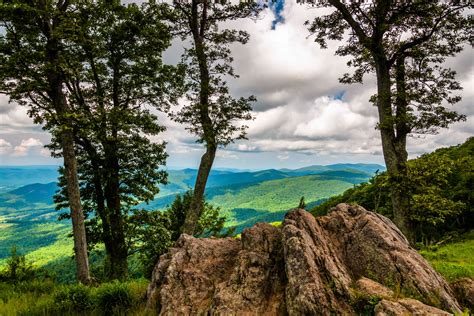 Surprising Facts About Shenandoah National Park To Know