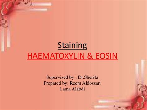 PPT - Staining HAEMATOXYLIN & EOSIN PowerPoint Presentation, free ...