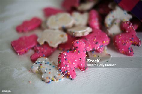 18+ Animal Crackers Pink - AltmashHanar