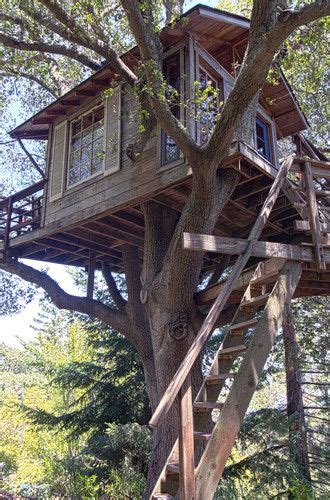 Casa En El Arbol Por Dentro