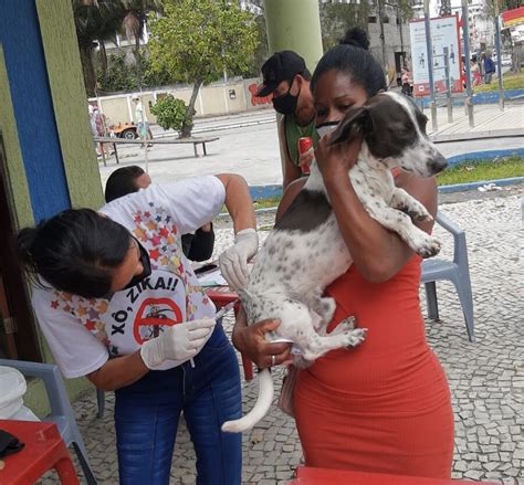 Prefeitura de Cabo Frio divulga locais de vacinação contra raiva animal