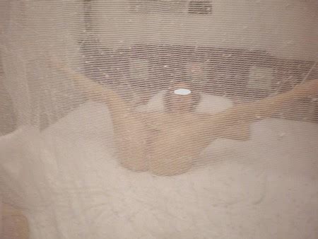 Our Hot Holiday Pics XHamster