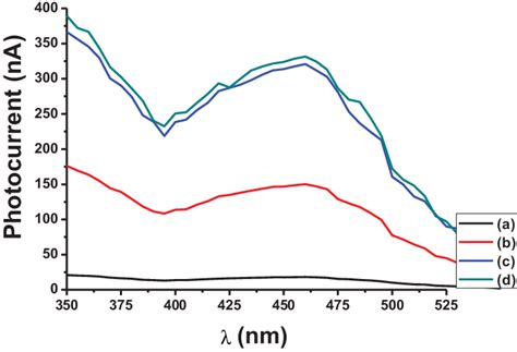 Photocurrent Action Spectra Generated By P Sns Nh Cnt Aox Ru Bpy