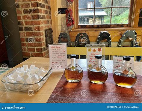 Maple Syrup Tasting Station Bottles Stock Image Image Of Maple Syrup