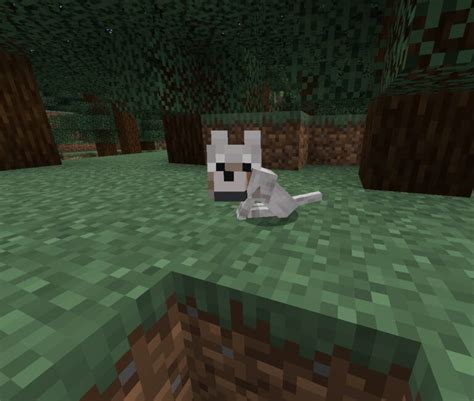 How To Breed Wolves In Minecraft Touch Tap Play