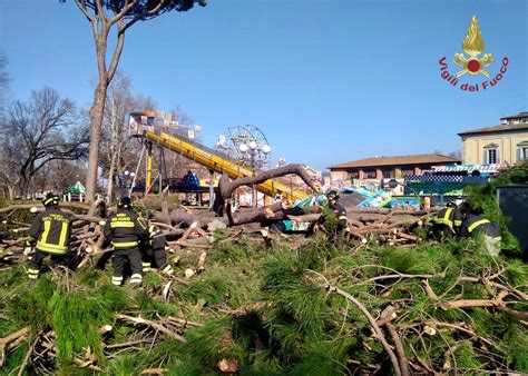 Firenze Albero Cade Su Luna Park Tragedia Sfiorata Alle Cascine