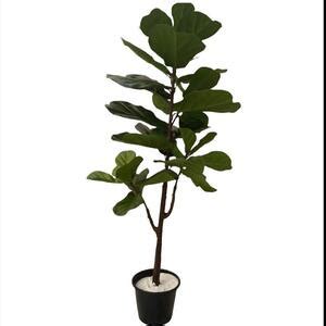 Árvore Artificial Ficus Lyrata 120m Planta Toque Real No Gesso