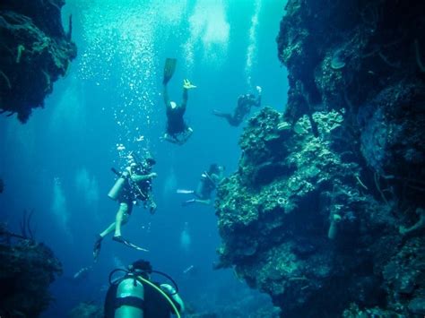 🤿 Scuba Diving Cozumel Conditions Video 🏝 2024