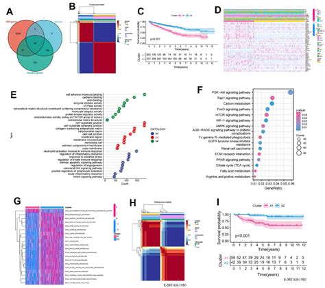 Figure 1 From TIMP1 Shapes An Immunosuppressive Microenvironment By