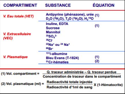 Traceurs UE3b Biophysique Physiologie Tutorat Associatif Toulousain