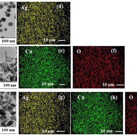 A C Tem Images And D I Elemental Mapping Of Agnps Cuonps And