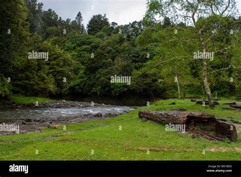 Green new zealand hi-res stock photography and images - Alamy