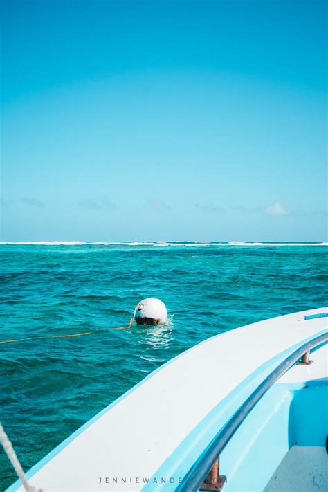 Amazing Things To Do In Caye Caulker Belize Jennie Wanders