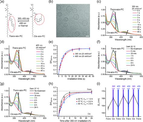 Photophysical Properties Of Asozomes A Schematic Of The