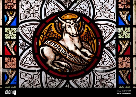 Saint Luke symbol stained glass, All Saints Church, Mixbury ...