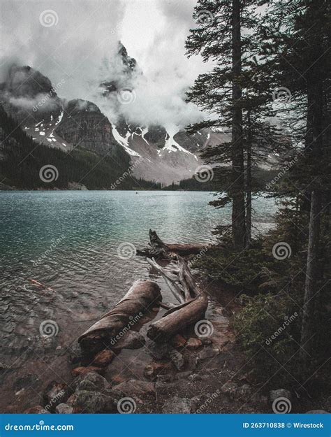 Toma Vertical De Un Tronco De árbol En La Orilla Del Lago Moraine En