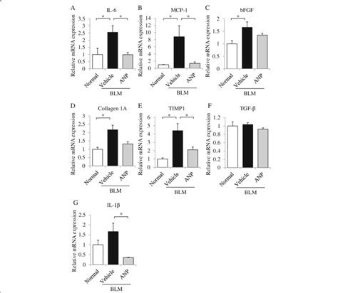 Anp Attenuates The Elevated Mrna Levels Of Pro Inflammatory And